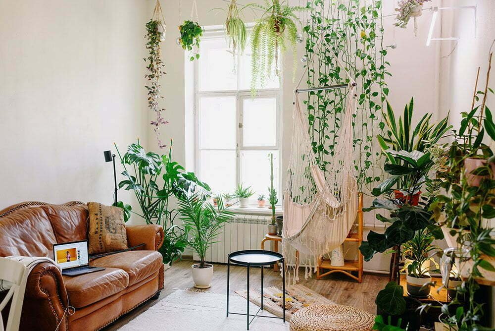 Earthy Natural Home Decor and plants