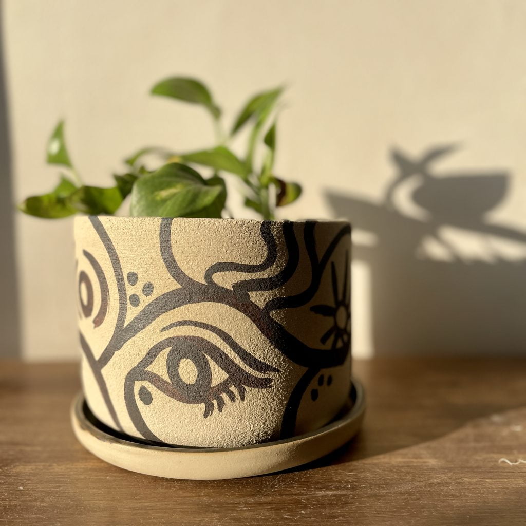 Ceramics and Plants