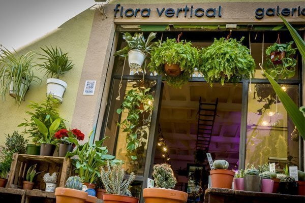 vertical gardens flora vertical barcelona