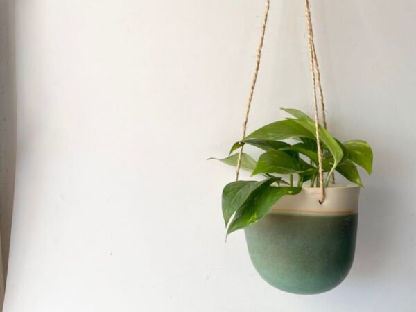 Teal Hanging Planters