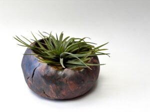 ceramic bowl for air plant