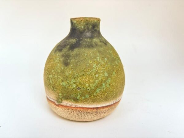 Lichen Bloom green Stoneware Bottle
